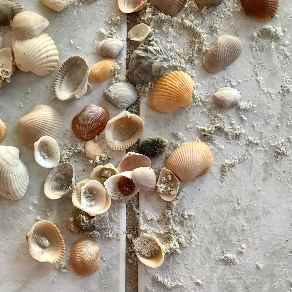 Custom shell bundle — PLEASE READ - Picture 6 of 16